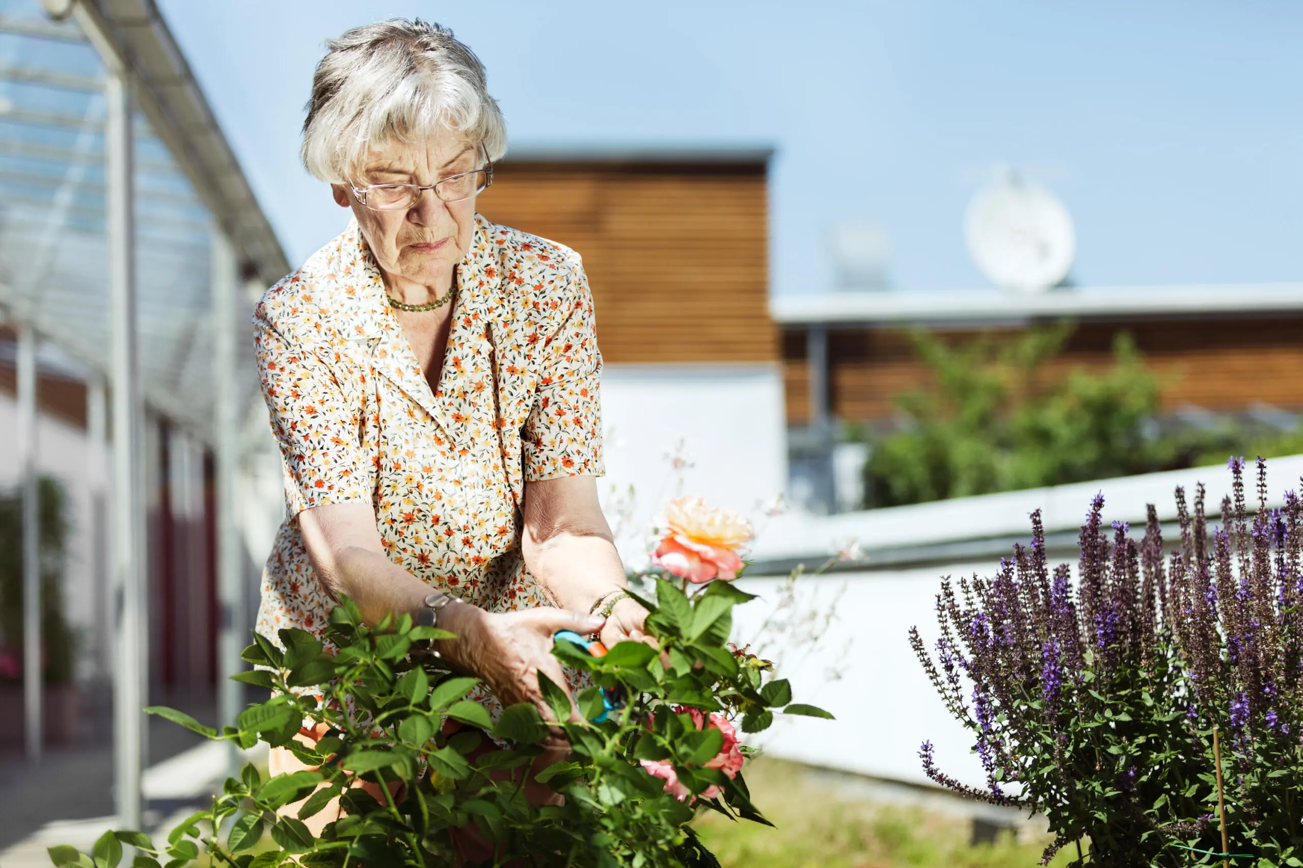 Ältere Frau pflegt Rosen im Garten eines Gesundheitszentrums.