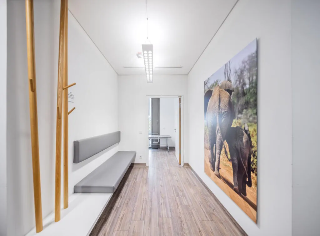 Ein heller Flur in einer Arztpraxis mit Holzboden, grauer Sitzbank, Holzgarderobe und einem großen Elefanten-Wandbild, mit Blick in einen Behandlungsraum.