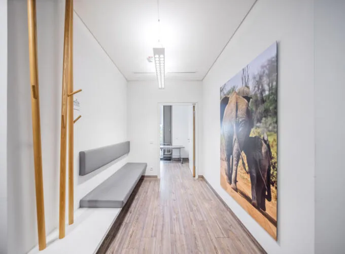 Ein heller Flur in einer Arztpraxis mit Holzboden, grauer Sitzbank, Holzgarderobe und einem großen Elefanten-Wandbild, mit Blick in einen Behandlungsraum.