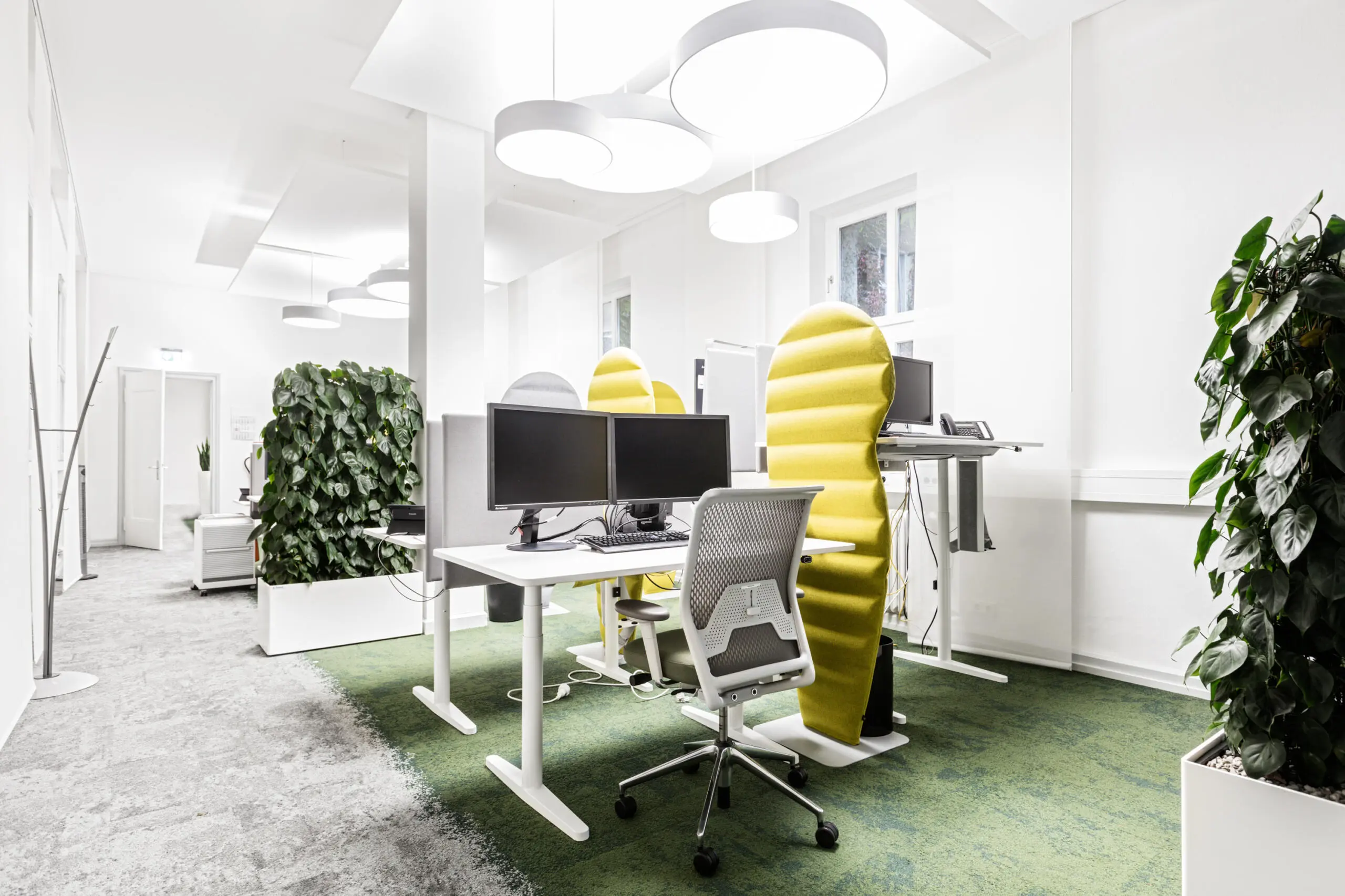Moderner Großraum-Büroarbeitsplatz mit höhenverstellbaren Tischen, gelben Akustik-Trennwänden und Bepflanzung auf grünem Teppichboden