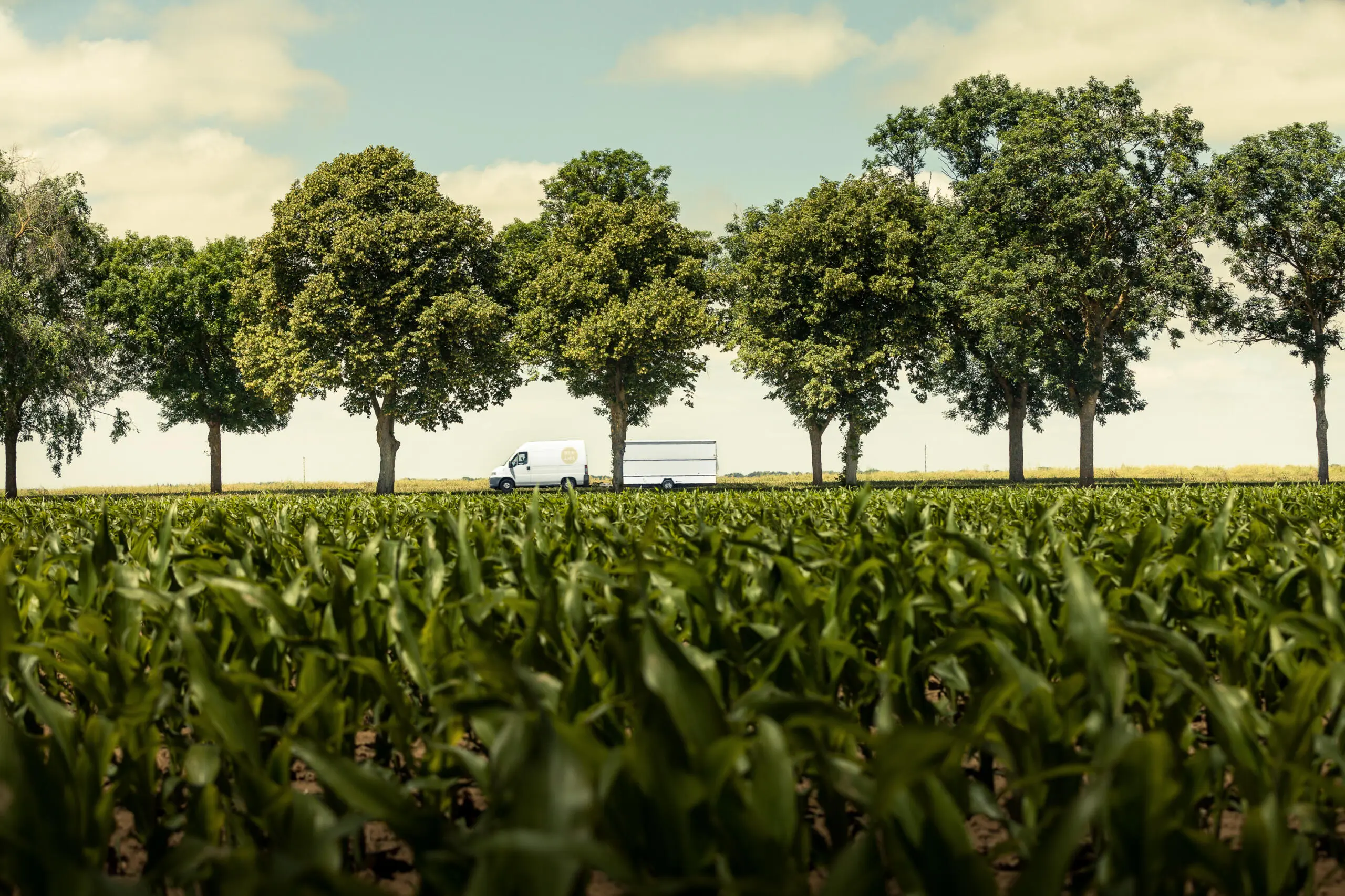 Ein weißer Lieferwagen mit Anhänger fährt auf einer von Bäumen gesäumten Landstraße, gesehen durch ein grünes Maisfeld unter blauem Himmel.