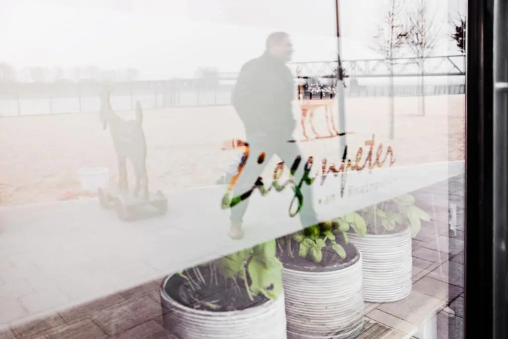 Glasfront mit buntem Schriftzug, dahinter Pflanztöpfe mit Grünpflanzen und Spiegelung einer nebligen Außenanlage mit Passant.