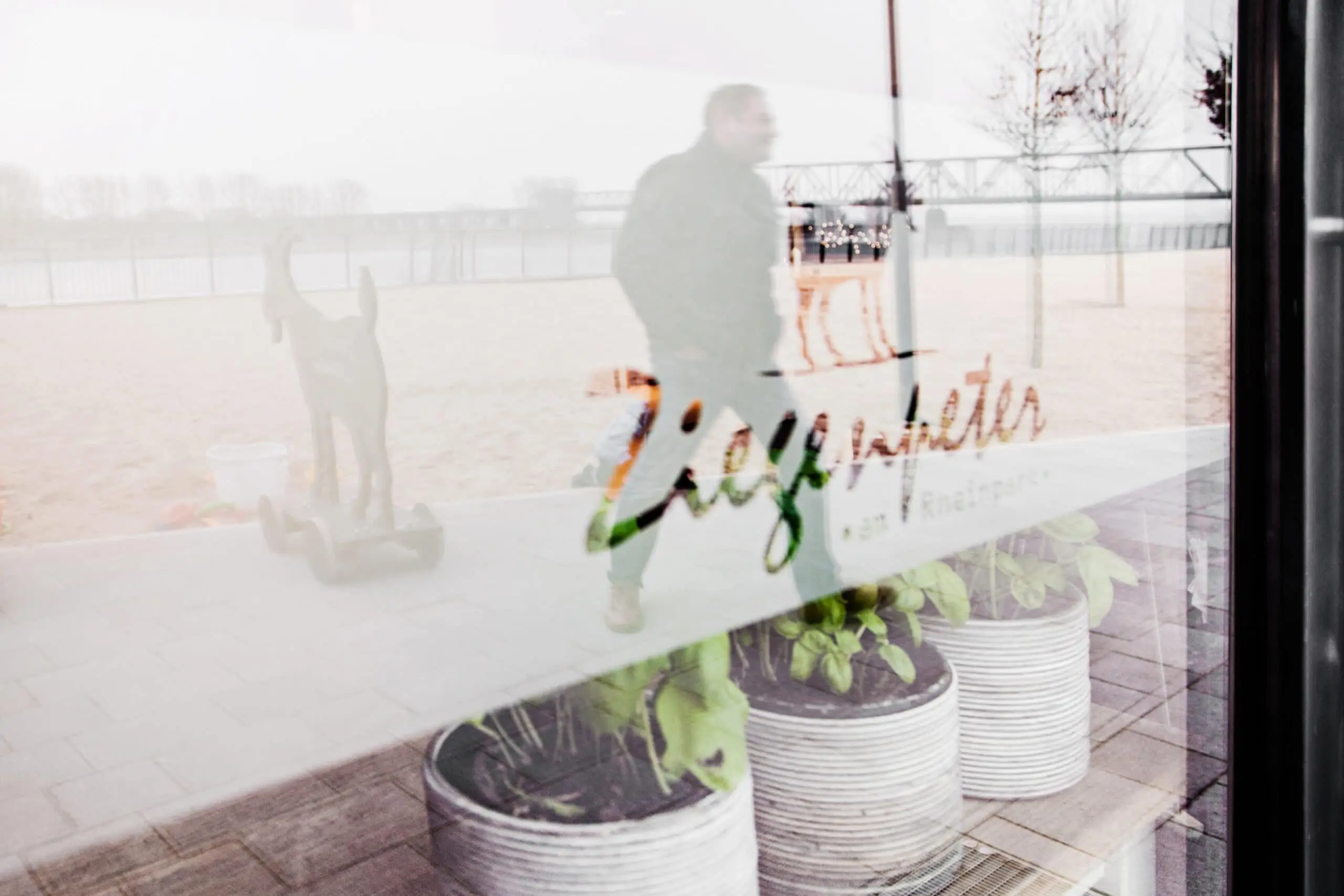 Glasfront mit buntem Schriftzug, dahinter Pflanztöpfe mit Grünpflanzen und Spiegelung einer nebligen Außenanlage mit Passant.