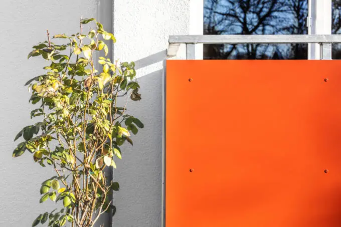 Ein oranges Balkonpaneel mit silbernem Handlauf befindet sich vor einer weißen Putzfassade neben einem Rosenstrauch.